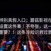 一招辨别真假入口；蘑菇影视在线观看：设置这件事｜不夸张，这一步很重要？！这条冷知识救过我