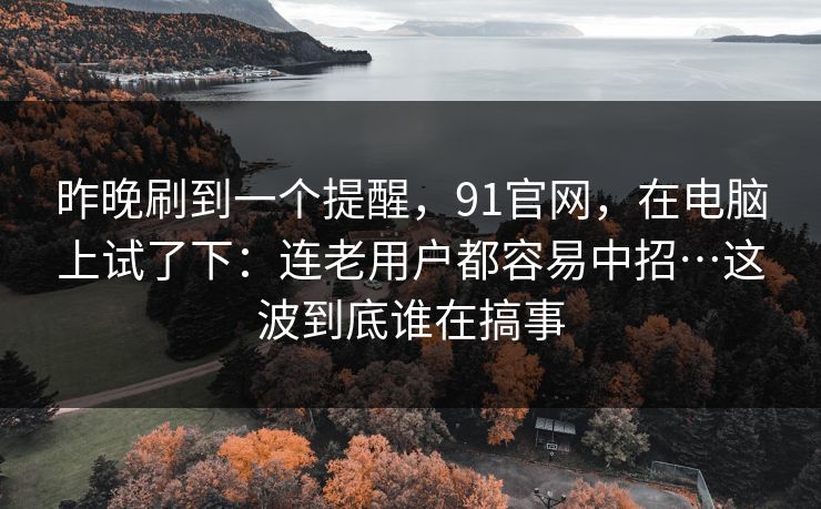 昨晚刷到一个提醒，91官网，在电脑上试了下：连老用户都容易中招…这波到底谁在搞事