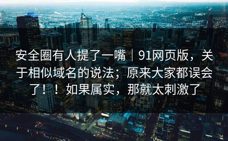 安全圈有人提了一嘴｜91网页版，关于相似域名的说法；原来大家都误会了！！如果属实，那就太刺激了